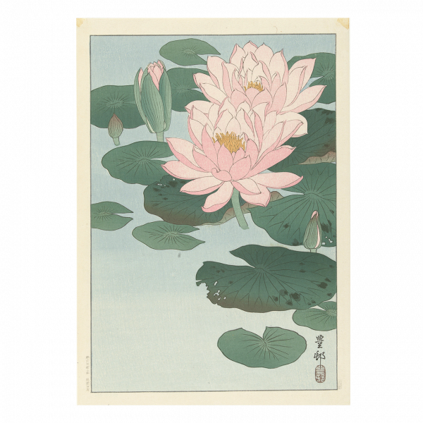 Poster: Waterlelies, Ohara Koson 50x70