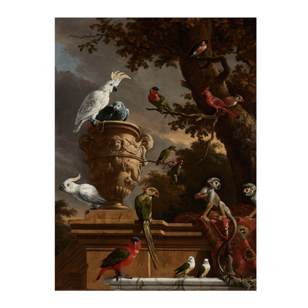 Poster: De menagerie, Hondecoeter 50x70