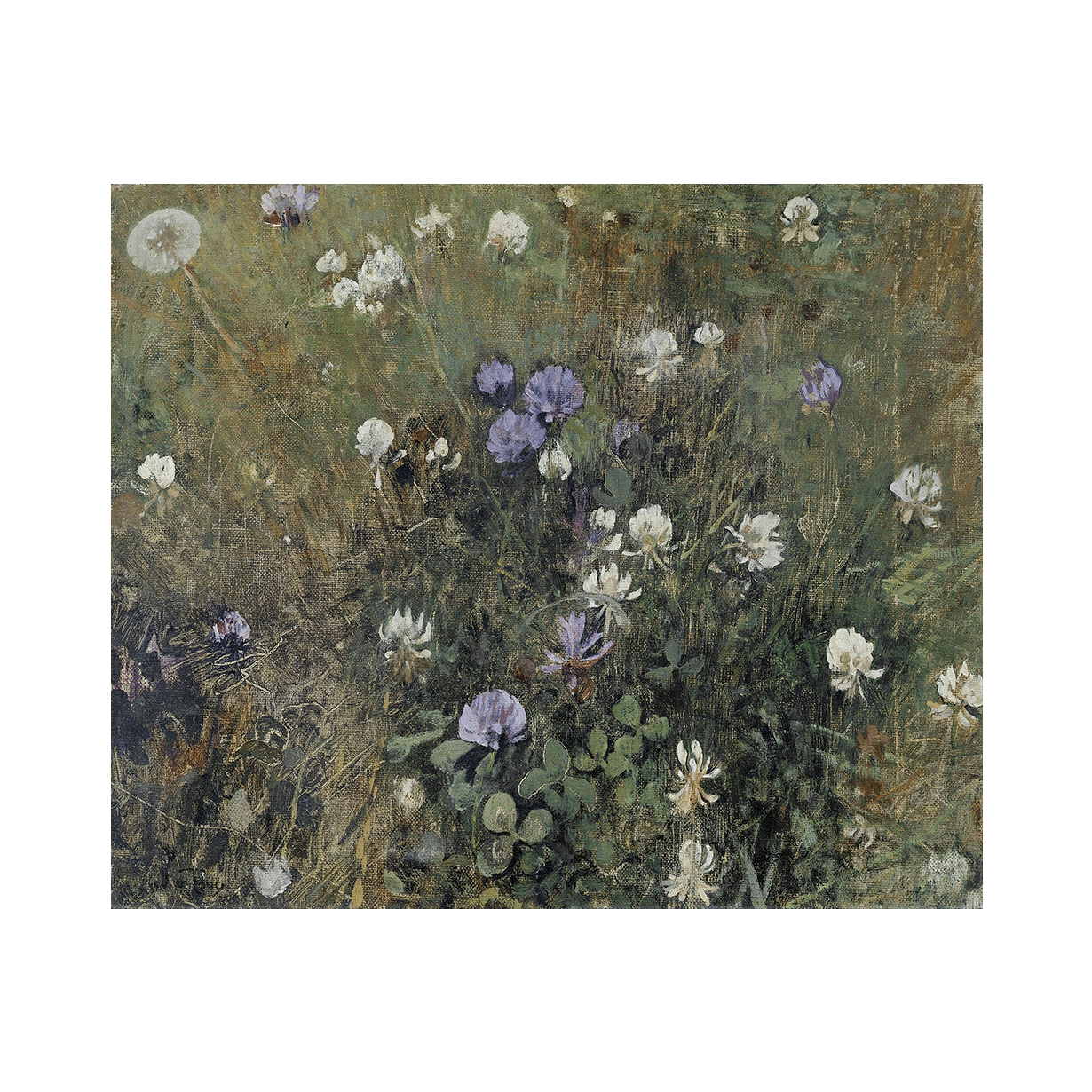 Poster | Klaverbloemen | Kunst posters | Prints | Rijksmuseum Shop